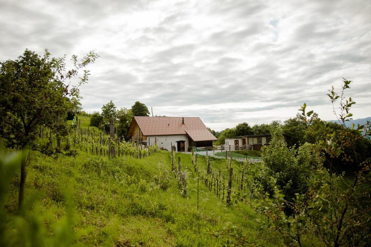 Vineyard Cottage Skatlar 3 Otočec Exterior foto