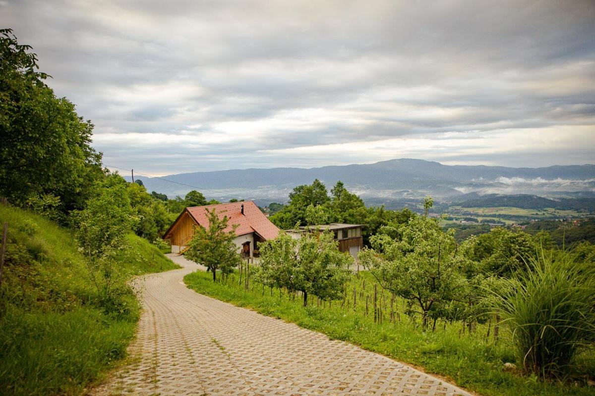 Vineyard Cottage Skatlar 3 Otočec Exterior foto