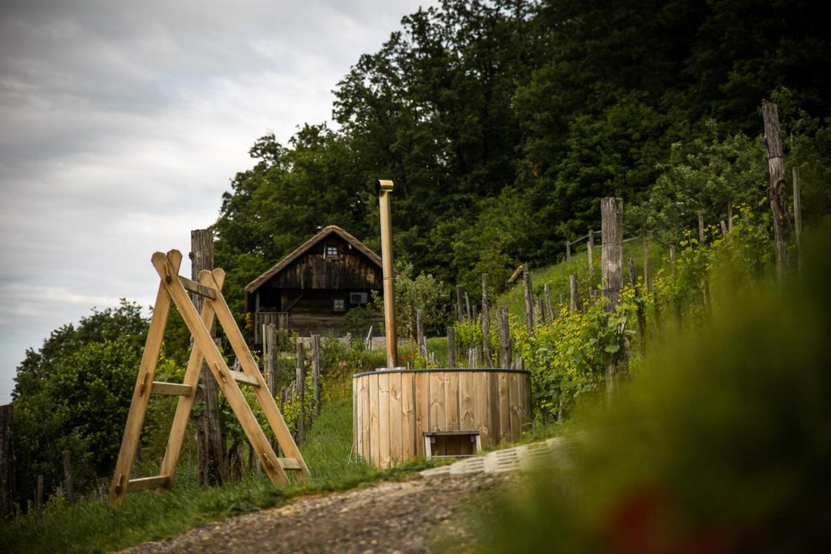 Vineyard Cottage Skatlar 3 Otočec Exterior foto