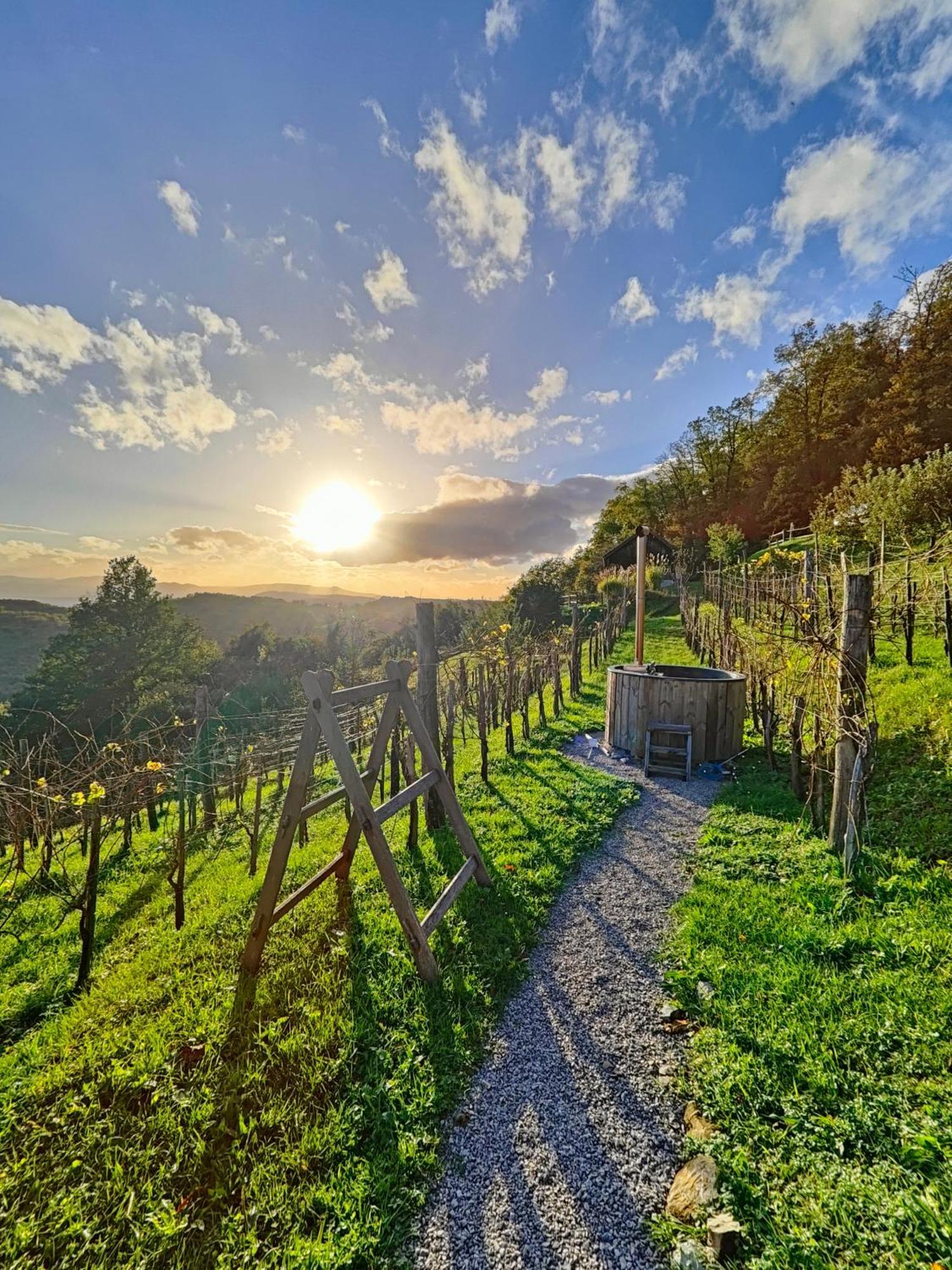 Vineyard Cottage Skatlar 3 Otočec Exterior foto