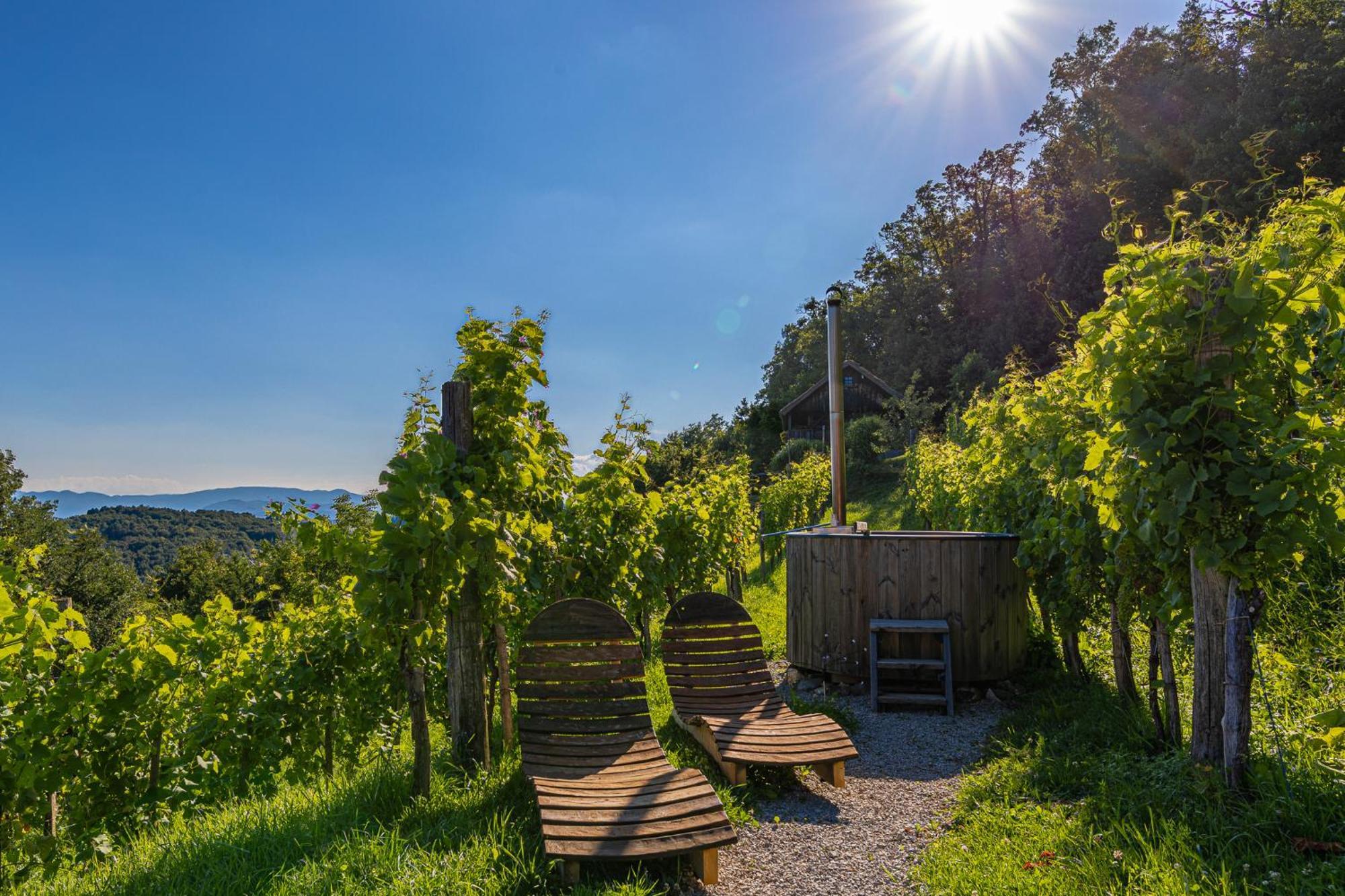 Vineyard Cottage Skatlar 3 Otočec Exterior foto
